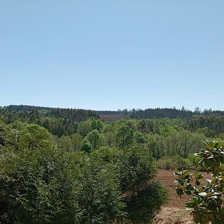 A Casa Do San Paio De Buscas Διαμέρισμα Ordes Εξωτερικό φωτογραφία