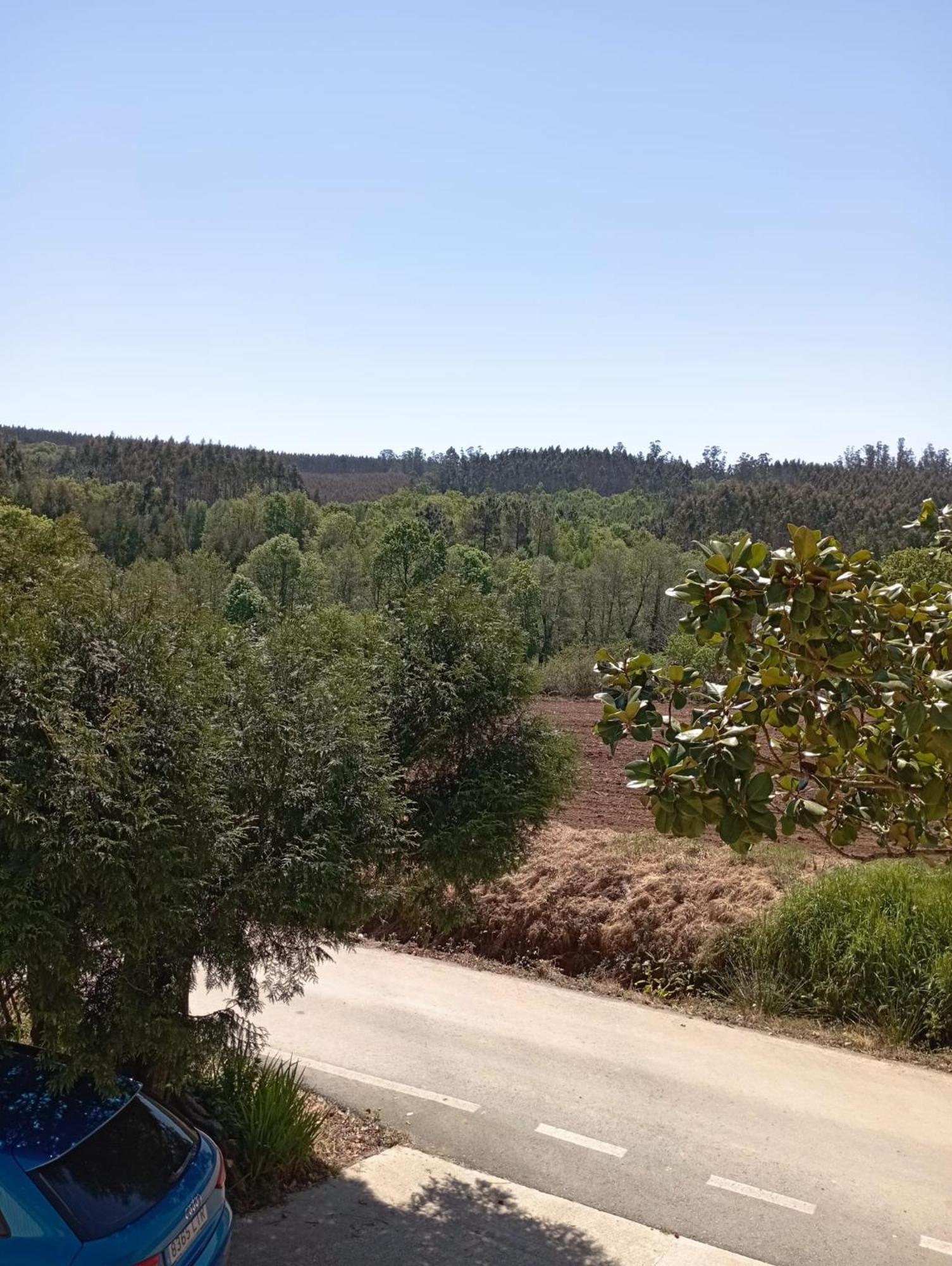 A Casa Do San Paio De Buscas Διαμέρισμα Ordes Εξωτερικό φωτογραφία