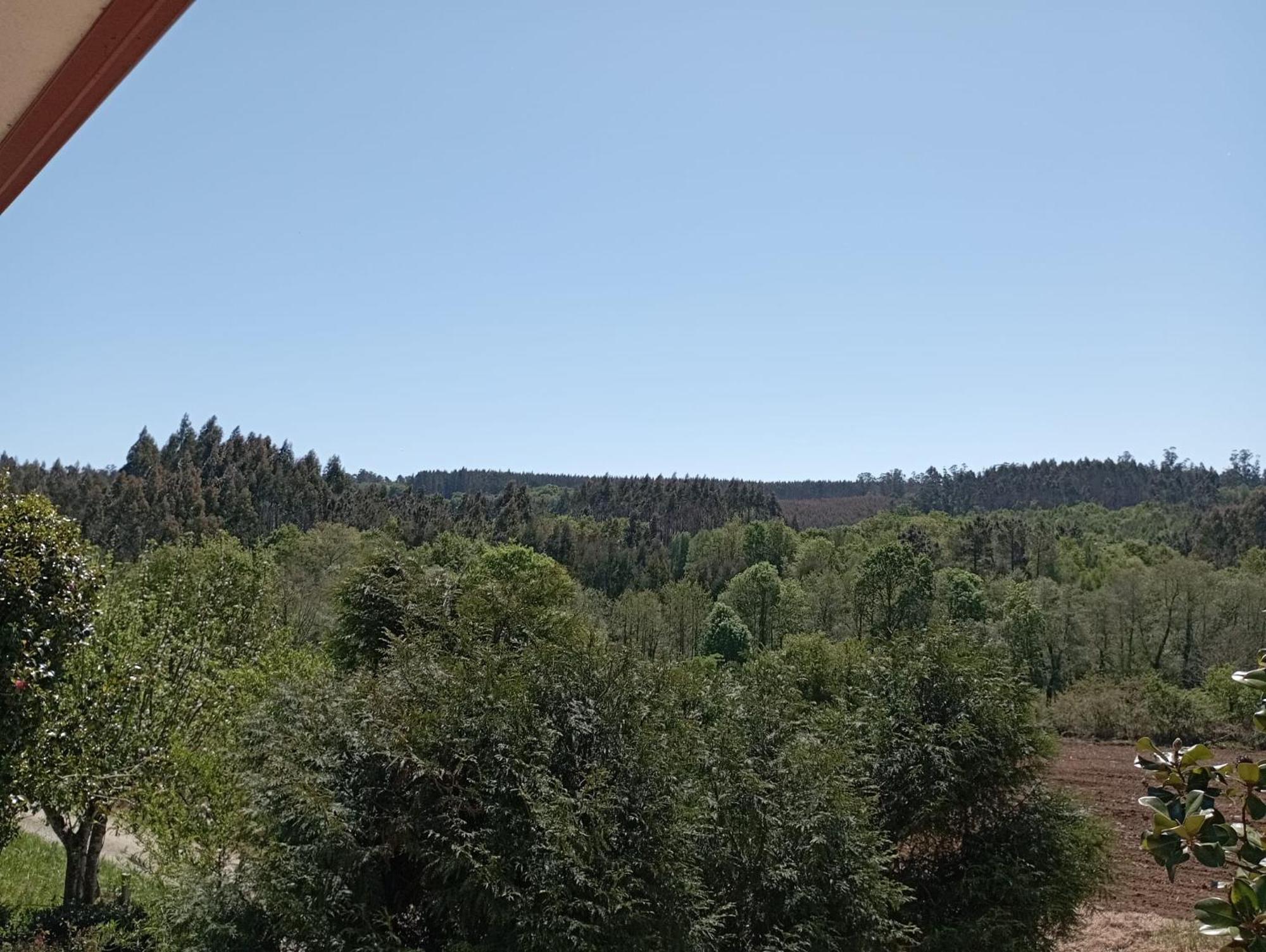 A Casa Do San Paio De Buscas Διαμέρισμα Ordes Εξωτερικό φωτογραφία