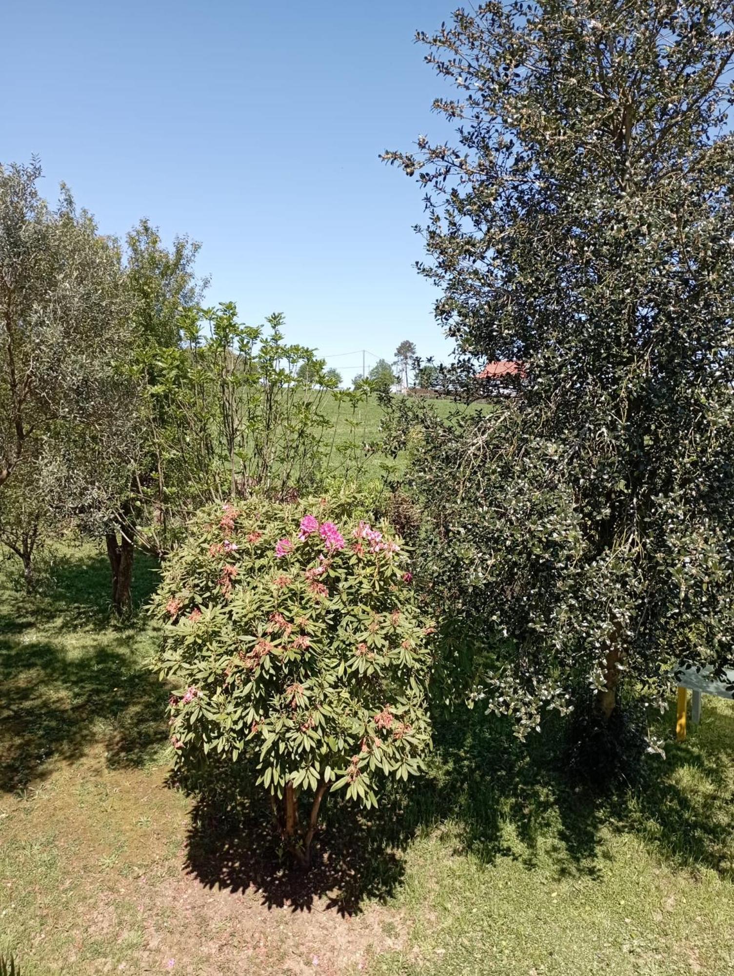 A Casa Do San Paio De Buscas Διαμέρισμα Ordes Εξωτερικό φωτογραφία