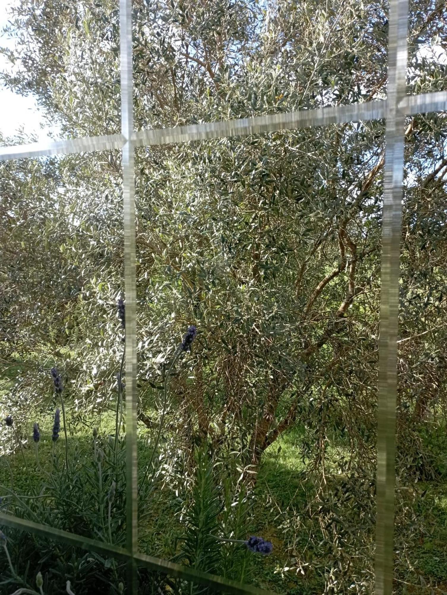 A Casa Do San Paio De Buscas Διαμέρισμα Ordes Εξωτερικό φωτογραφία