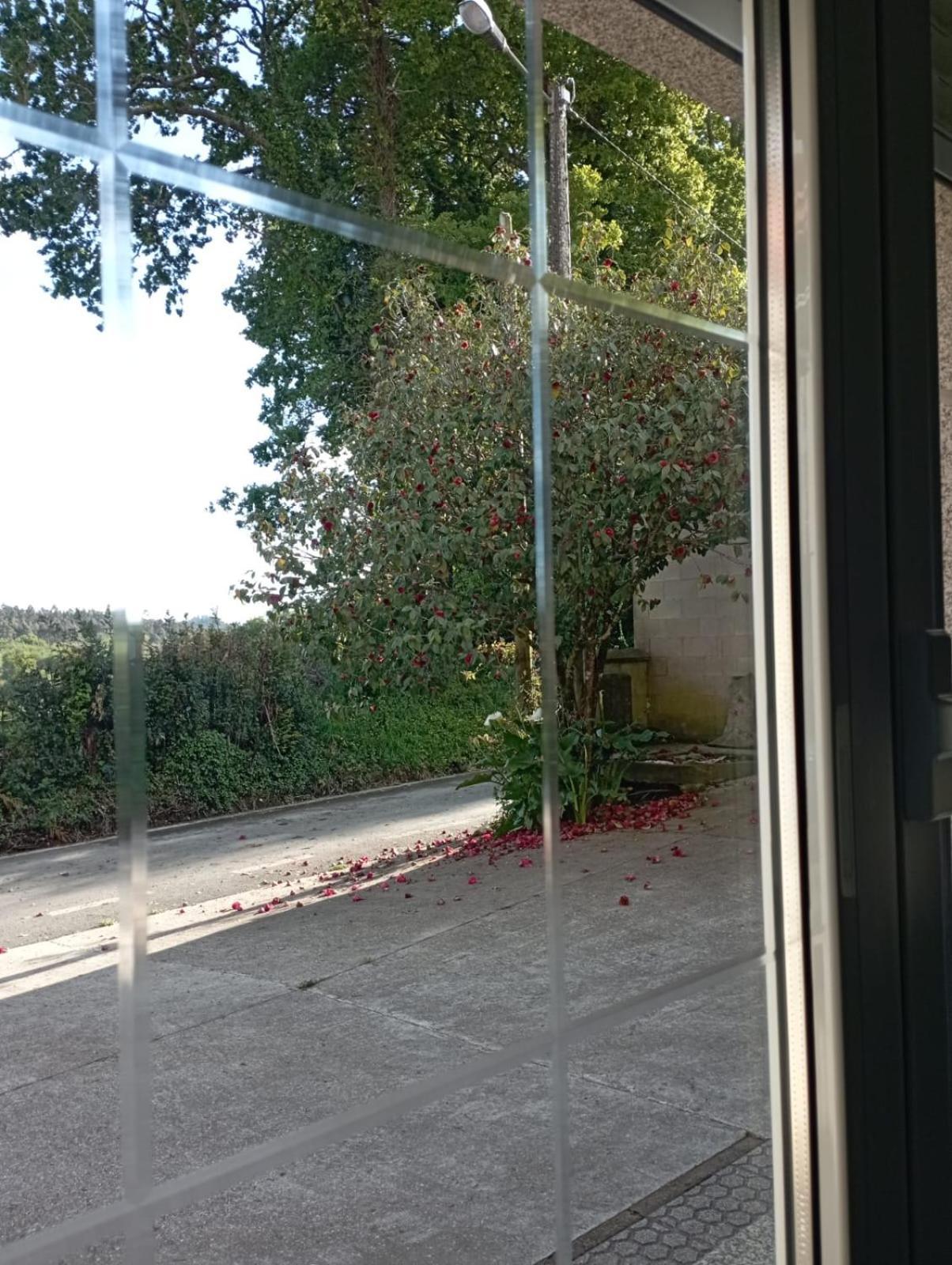 A Casa Do San Paio De Buscas Διαμέρισμα Ordes Εξωτερικό φωτογραφία