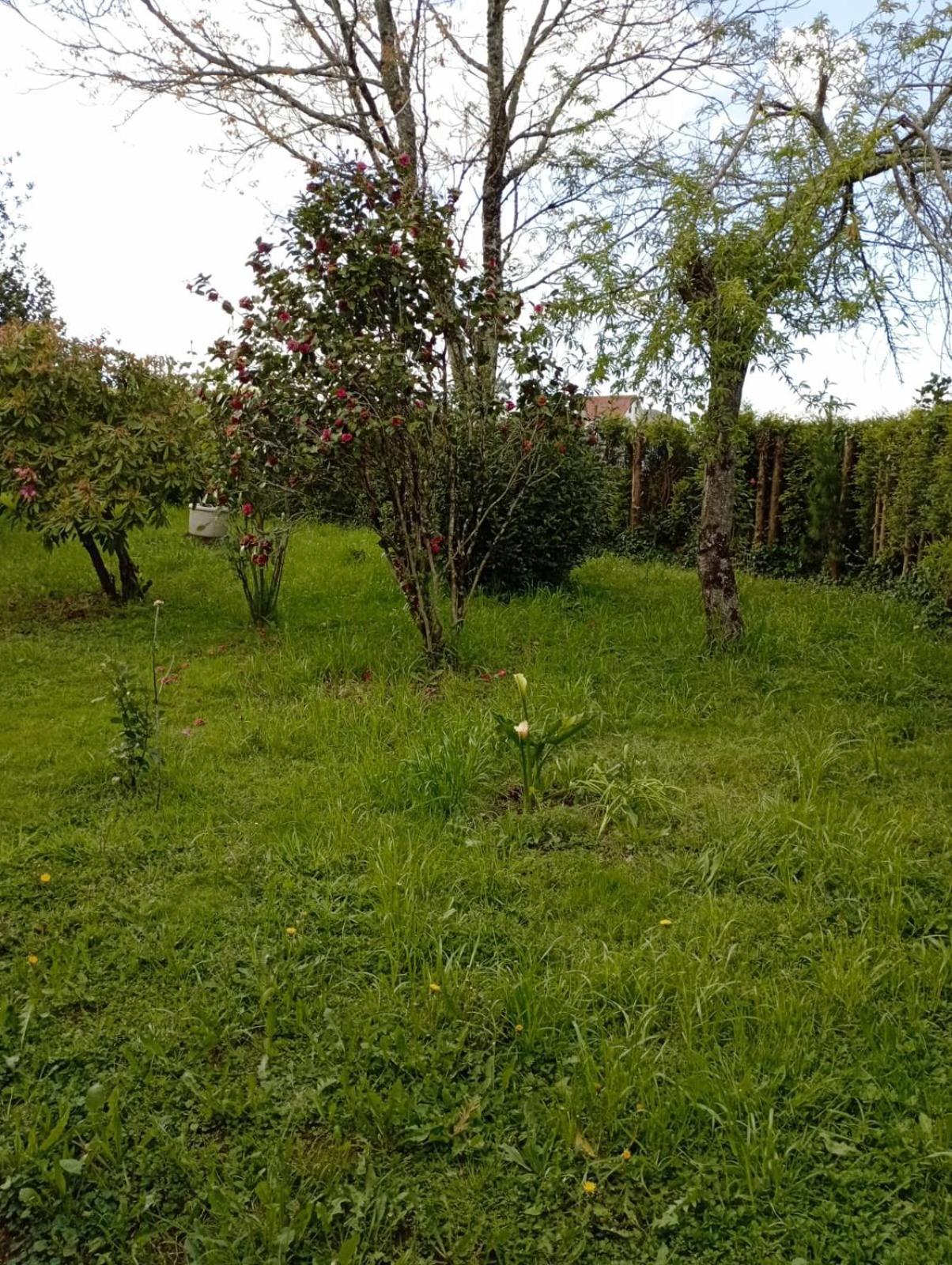 A Casa Do San Paio De Buscas Διαμέρισμα Ordes Εξωτερικό φωτογραφία