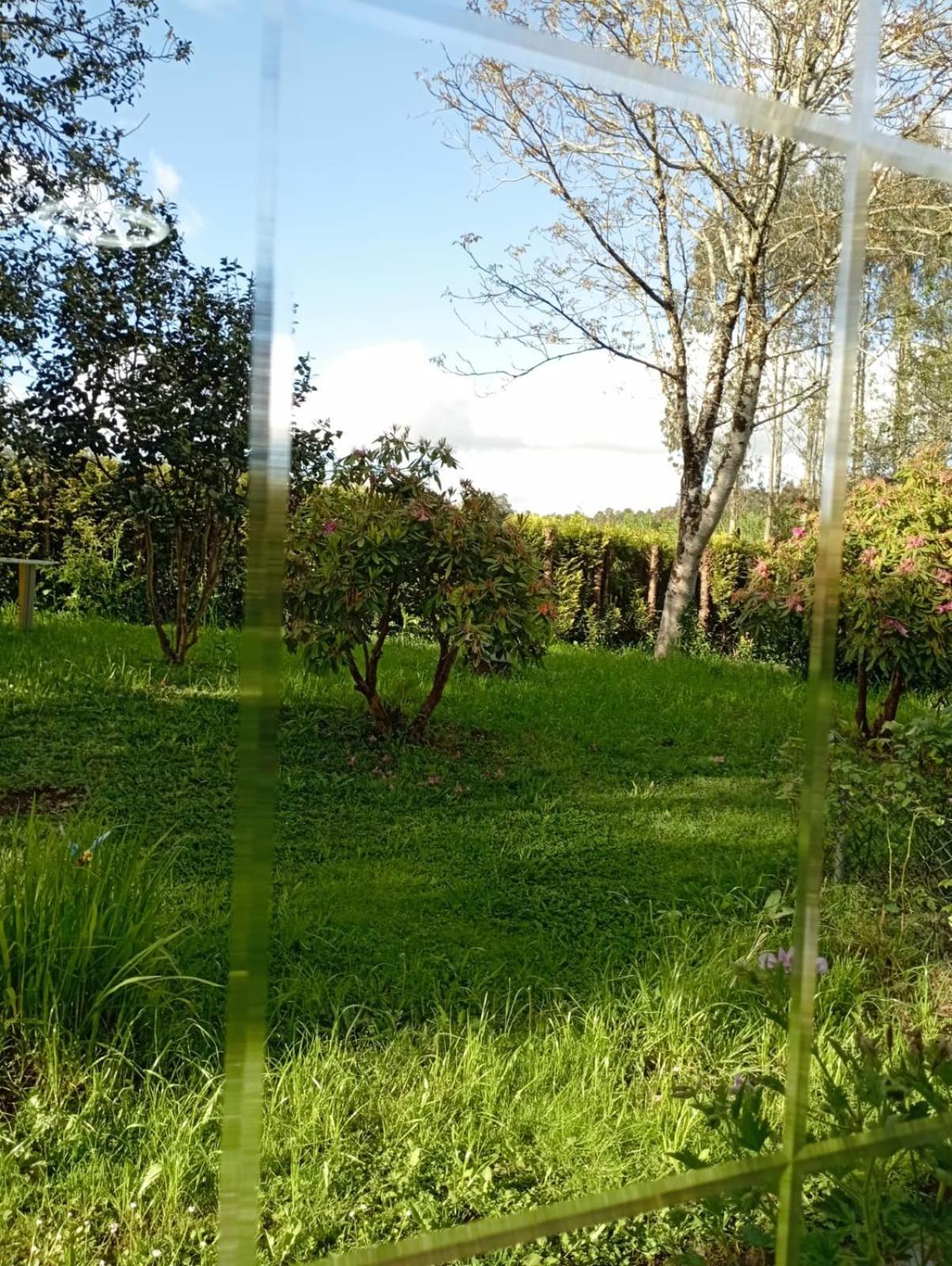 A Casa Do San Paio De Buscas Διαμέρισμα Ordes Εξωτερικό φωτογραφία