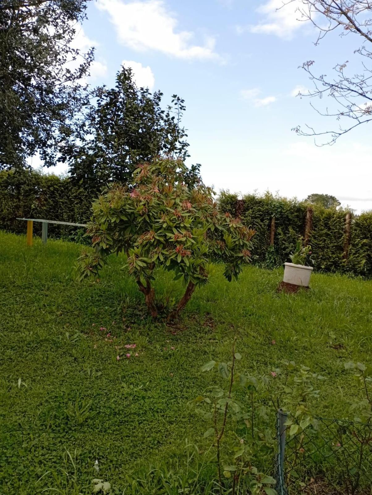 A Casa Do San Paio De Buscas Διαμέρισμα Ordes Εξωτερικό φωτογραφία
