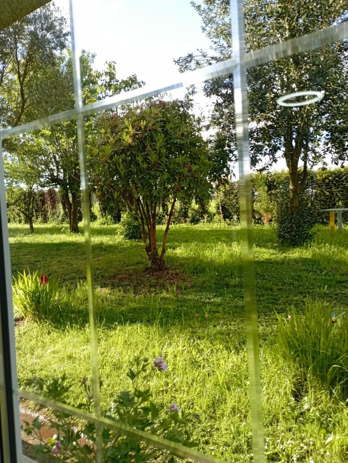 A Casa Do San Paio De Buscas Διαμέρισμα Ordes Εξωτερικό φωτογραφία